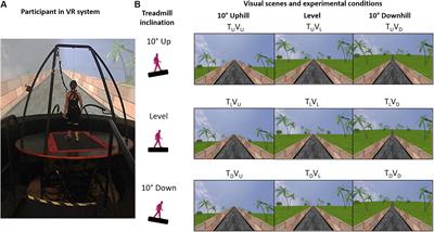 Seeing Gravity: Gait Adaptations to Visual and Physical Inclines – A Virtual Reality Study